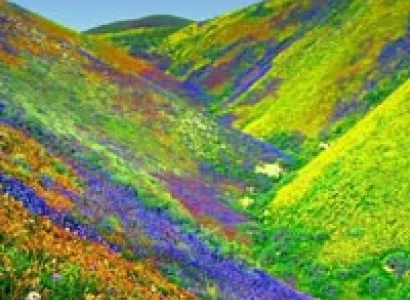 Nature’s Abode at Uttarakhand Tour