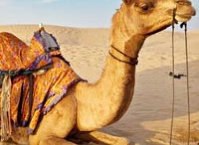 Hotel Jaipur Palace, Jaipur Package