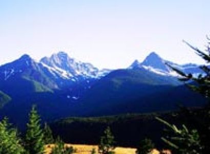 Tranquility and Elegance at Shingar Hotel, Shimla Tour