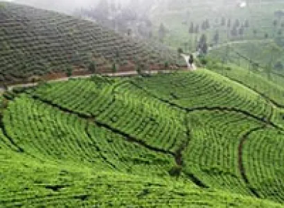Extended Darjeeling Lachung Gangtok Tour