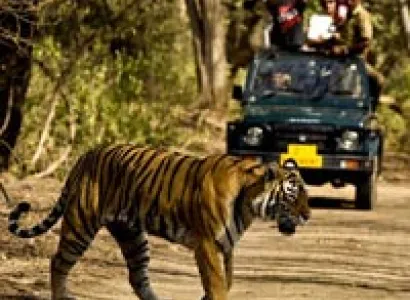 Corbett National Park Tour Package