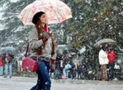 Himachal Highlight with Kasauli Tour