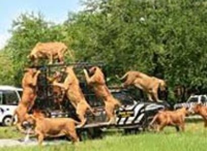 Simply Thailand Tour