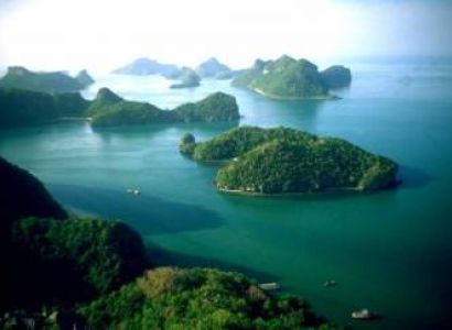 Havelock Neil Delight