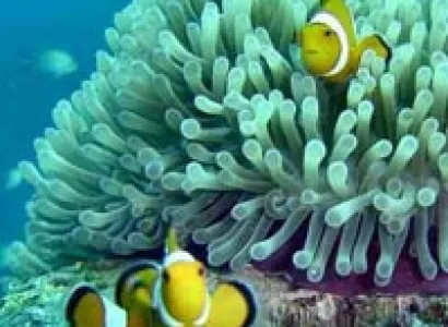 Exclusive Family Tour Package - Port Blair,Cellular Jail, Image