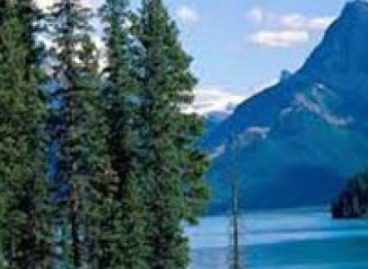 Mussoorie Honeymoon Tour