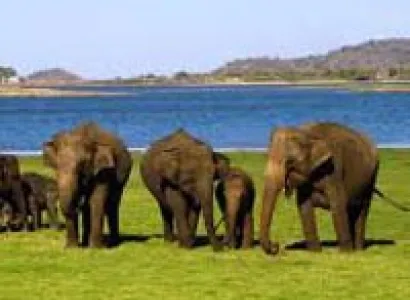 Ultimate Sri Lanka Tour