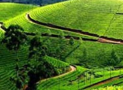 Munnar - Thekkady-Allepey Tour