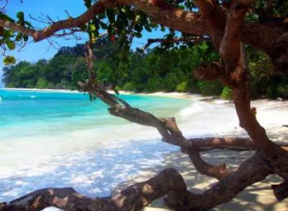 Explore Andaman Tour Package
