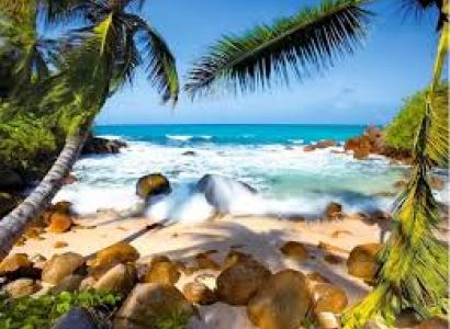 Tropical Paradise Tour