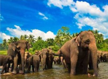 Wildlife Paradise Tour