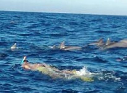 5 Days Zanzibar Holiday Package