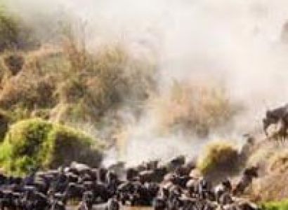 Kenyan Game Parks Lodge Safari Tour