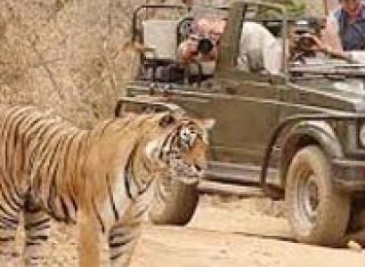 Jaipur Ranthambhore package
