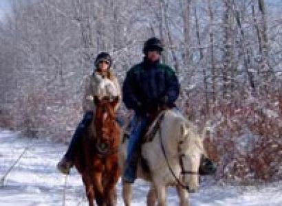 Kashmir Honeymoon Package