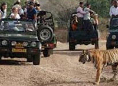 Jim Corbett with Nainital Tour