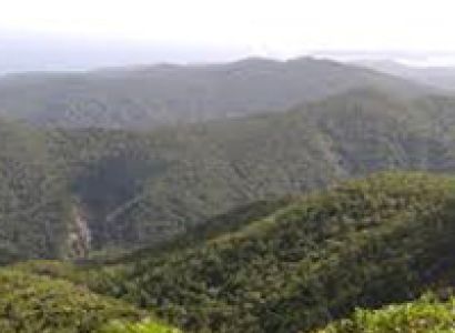 7 Nights 8 Days Andaman Family Special Package