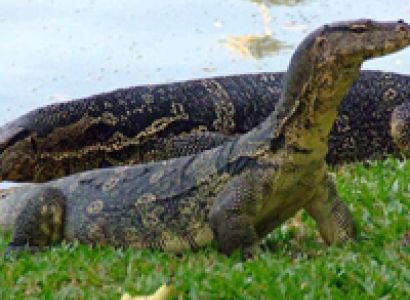 4 Nights 5 Days Andaman Special Family Tour Package