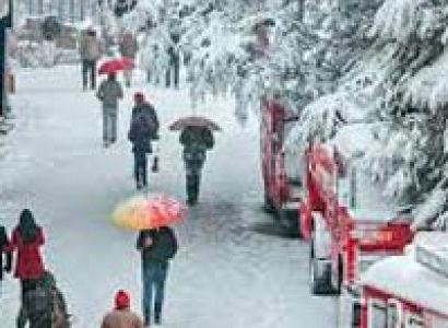 Colors Of Himachal Tour