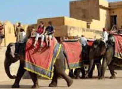 Pink City jaipur Tour