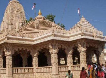 Little Rann Safari Tour