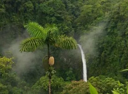 Mysore Coorg Wayanad Ooty Tour Package