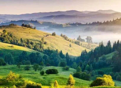 Hill Stations of South India Tour