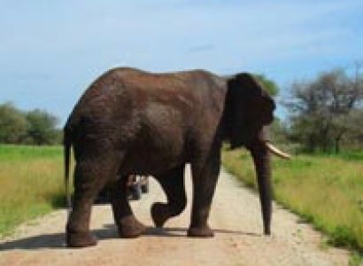 Northern Circuit Safari Tour