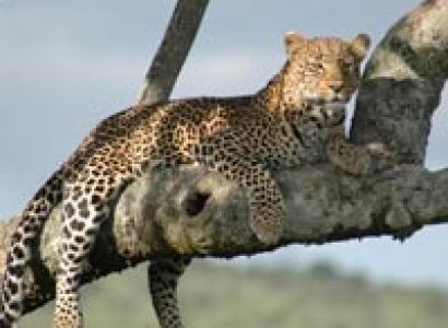 8 Days 7 Nights Northern Circuit Tour