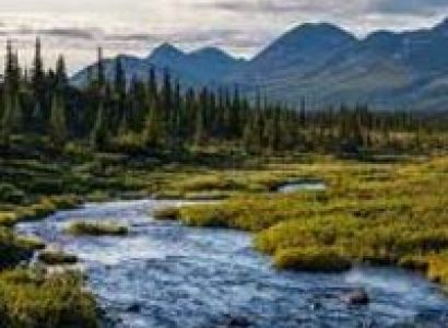 Eastern Arunachal Cultural & Tribal Tour