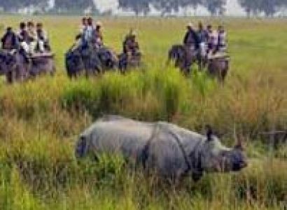 Discover Kaziranga Tour