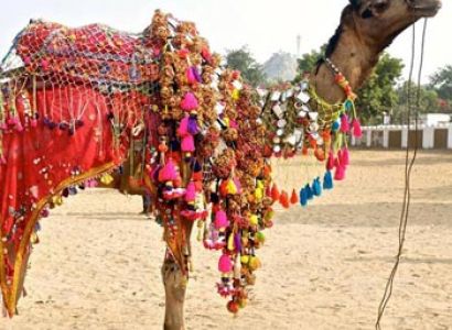 Rajasthan Tour
