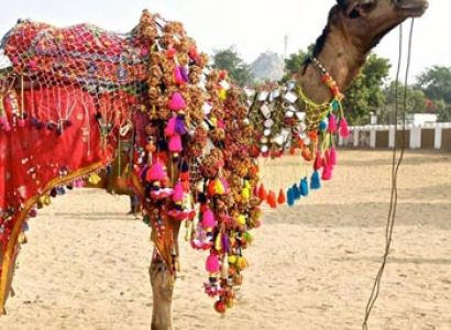 Mandawa-Bikaner-Jaisalmer Tour