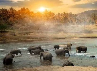 7 Night - 8 Days Sri Lanka Tour Package