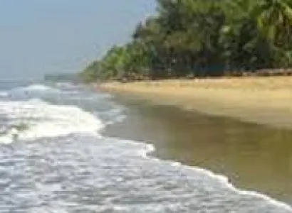 Cherai Beach - Cochin Tour