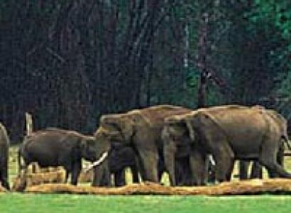 Nameri National Park Tour