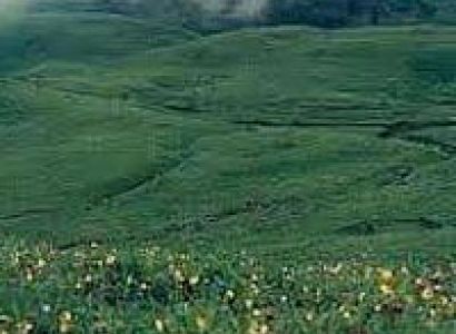 Imphal - Kohima Tour