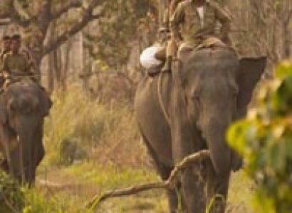 Dibru Saikhowa National Park – Gibbon Wls – Kaziranga Np – Nameri Np – Manas Np Tour