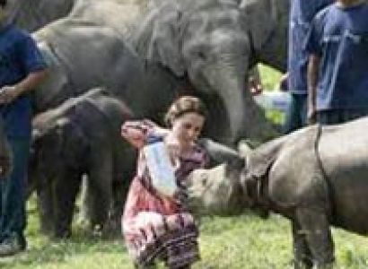 Shillong – Cherrapunjee - Kaziranga Np - Guwahati Tour