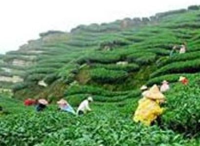 Shillong 03 Nights / 04 Days Tour