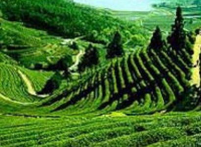 Ooty - Coonoor Break