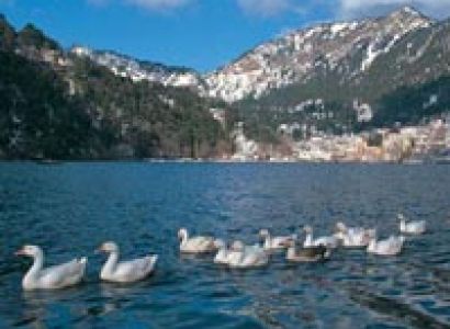 Nainital with Corbett Tour (Family Special)