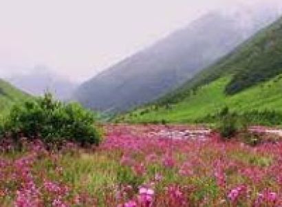 Hills of North East Tour