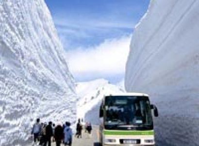 Ancient & Modern Japan Tour