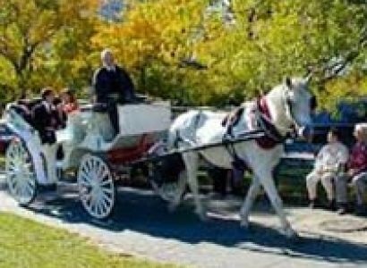 Tl 004 : Panorama East & West (Wed & Thurs Departures)- Pnew 2017