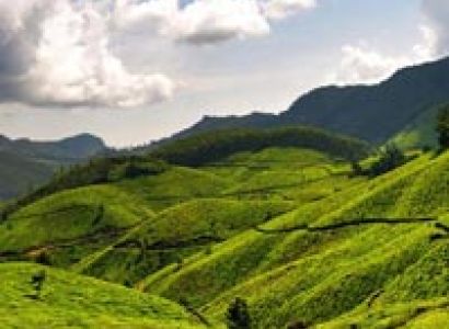 Kerala 4 Cities Customizable Tour