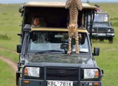 5-Day Mt Kenya/Lake Nakuru/Maasai Mara Tour