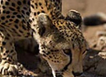 3-Day Samburu Safari Tour