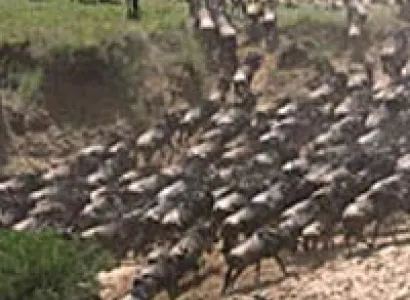 5-Day Kenya Wild Adventure Safari Tour