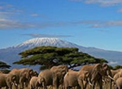 4-Day Tsavo West & East/Amboseli Esclusive Safari Tour